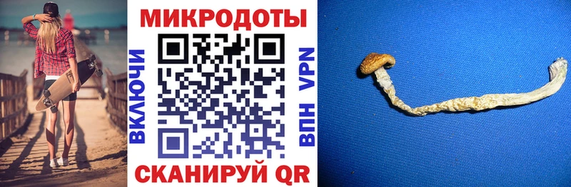 Галлюциногенные грибы Cubensis  закладка  Муравленко 